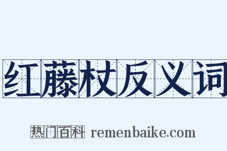 红藤杖反义词是什么意思的图片